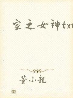 家之女神txt
