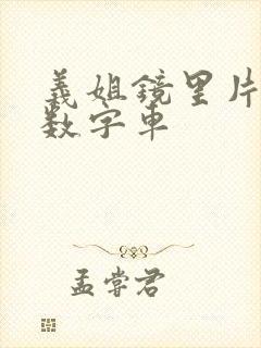 义姐镜里片微博数字车