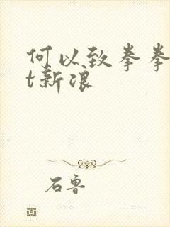 何以致拳拳txt新浪