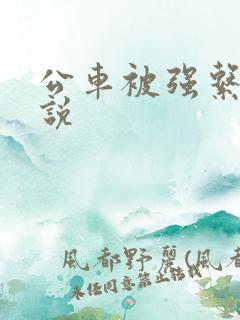 公车被强系列小说