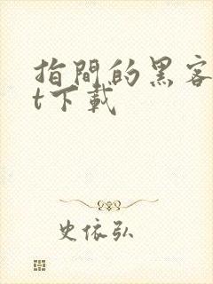 指间的黑客txt下载