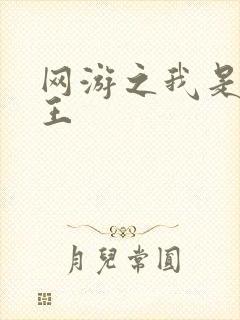 网游之我是海贼王