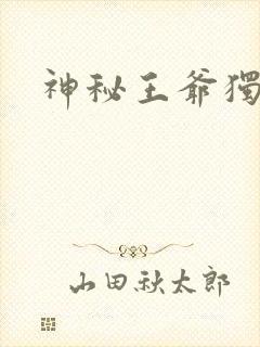 神秘王爷独宠妃