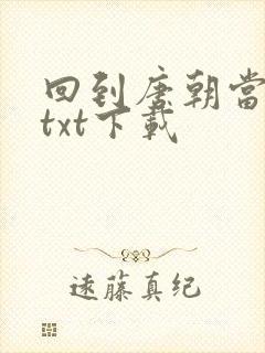 回到唐朝当皇帝txt下载