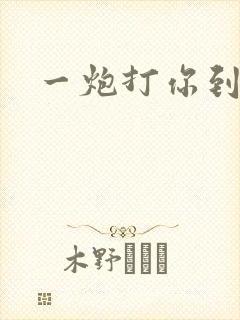 一炮打你到天亮