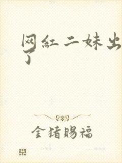 网红二妹出啥事了