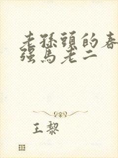 老孙头的春天马强马老二