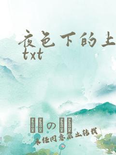夜色下的上海滩 txt