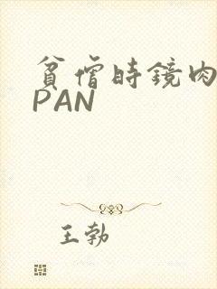 贫僧时镜肉补全PAN
