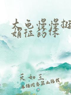 大龟慢慢挺进张娟征的休