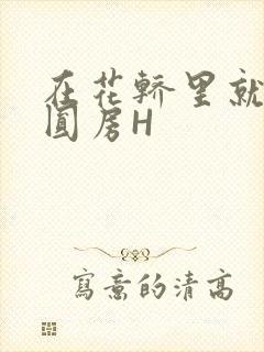 在花轿里就开始圆房H