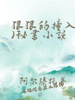 狠狠的撞入(h)秘书小说