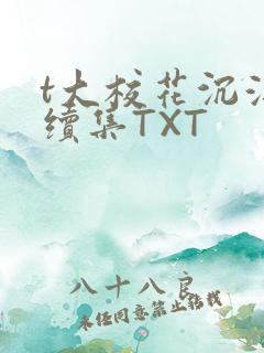 t大校花沉浮录续集TXT