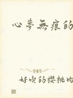 心梦无痕的小说