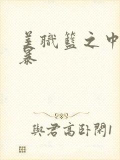 美职篮之中国风暴