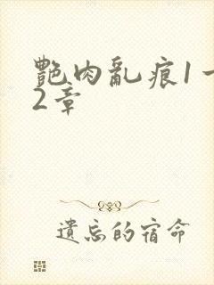 艳肉乱痕1一12章