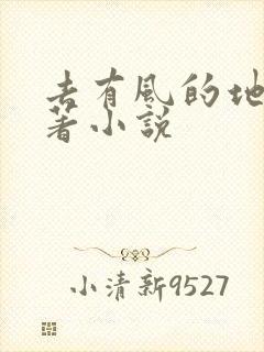 去有风的地方原著小说