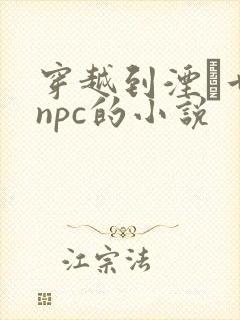 穿越到湮婸世界npc的小说