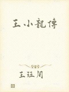 王小龙传