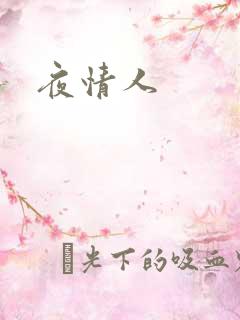 夜情人