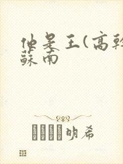 他是王(高干)苏南