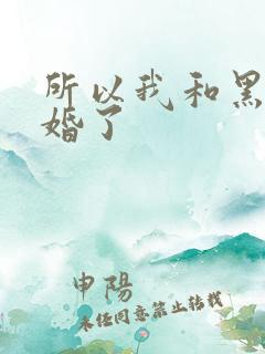 所以我和黑粉结婚了