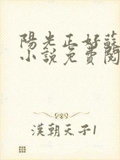 阳光正好苏玥玥小说免费阅读无弹窗