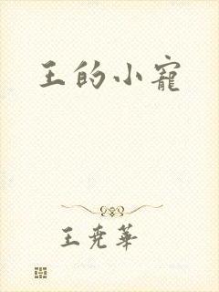 王的小宠