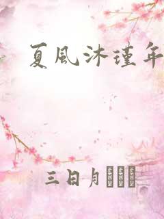夏风沐瑾年