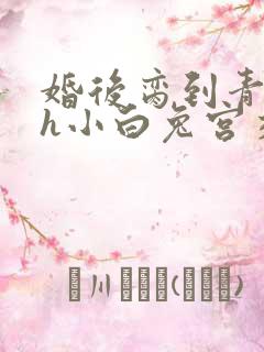婚后脔到青梅哭h小白兔宫交h