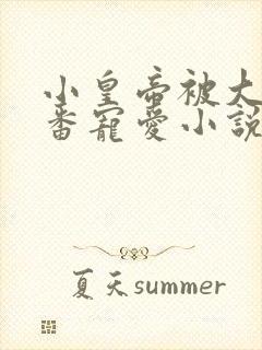 小皇帝被大臣轮番宠爱小说