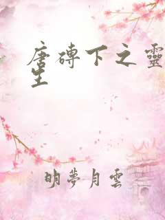 唐砖下之灵域双生