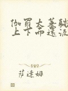 伽罗太华躺在床上下面还流东西