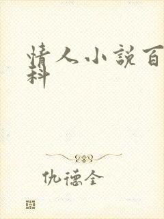 情人小说百度百科