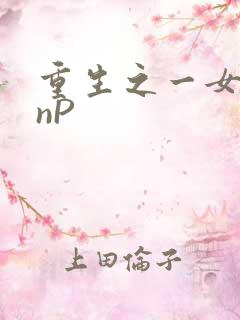 重生之一女九龙nP