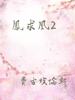 凤求凰2