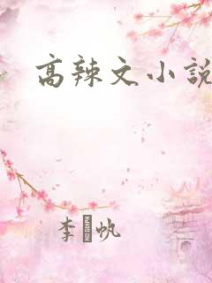 高辣文小说