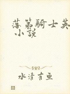 落第骑士英雄谭 小说