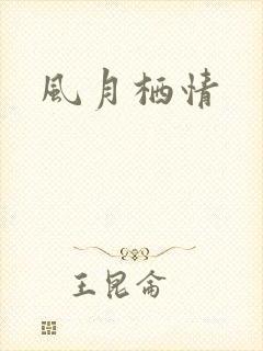 风月栖情