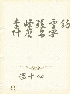 李峰张雪的书叫什么名字