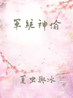 军统神偷