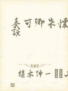 秦可卿朱怀镜小说