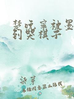 楚晚宁被墨燃做到哭棋子