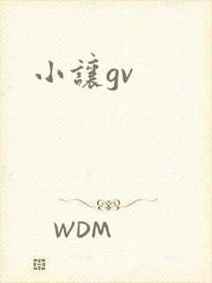 小让gv
