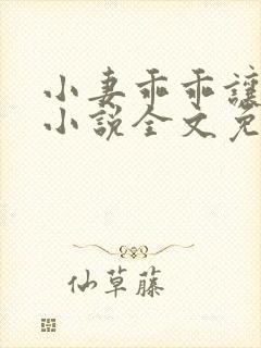 小妻乖乖让我宠小说全文免费阅读