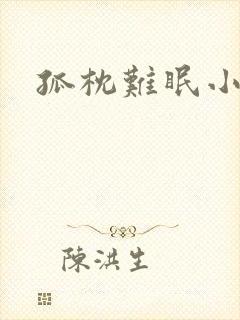 孤枕难眠小说