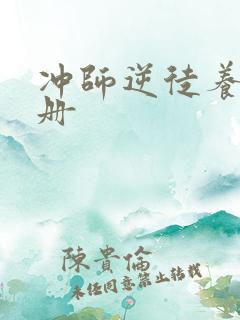 冲师逆徒养成手册