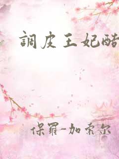 调皮王妃酷王爷