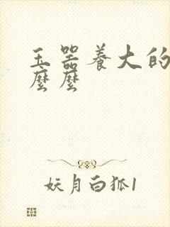 玉器养大的公主么么