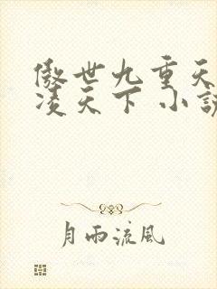 傲世九重天 风凌天下 小说